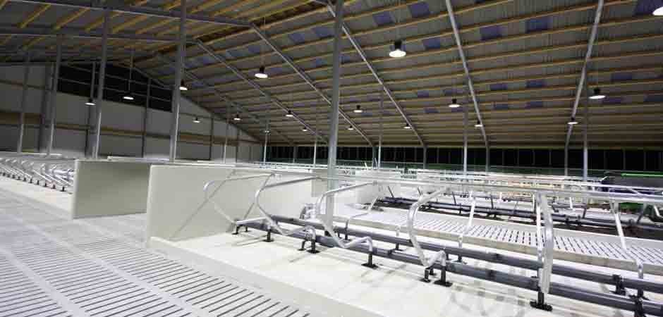 LED High Bay installerade i industri